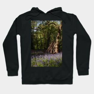 Hidden bluebell wood Hoodie